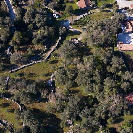 Quinta Dos Canteiros Fátima Dış mekan fotoğraf